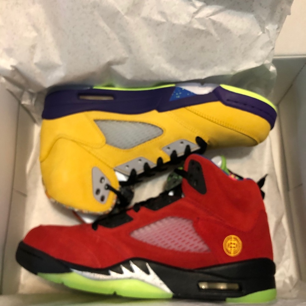 Air Jordan 5 What The